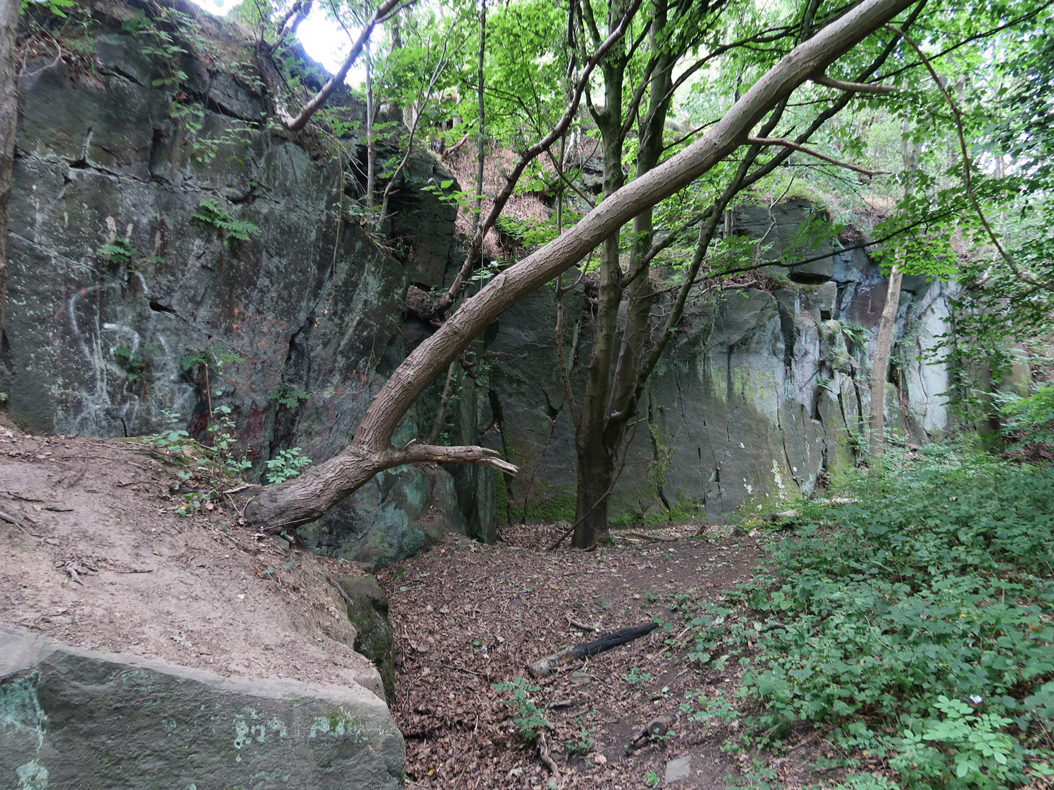 Hagg Stones Quarry