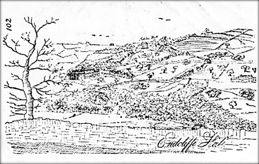 Endcliffe Hall Sketch