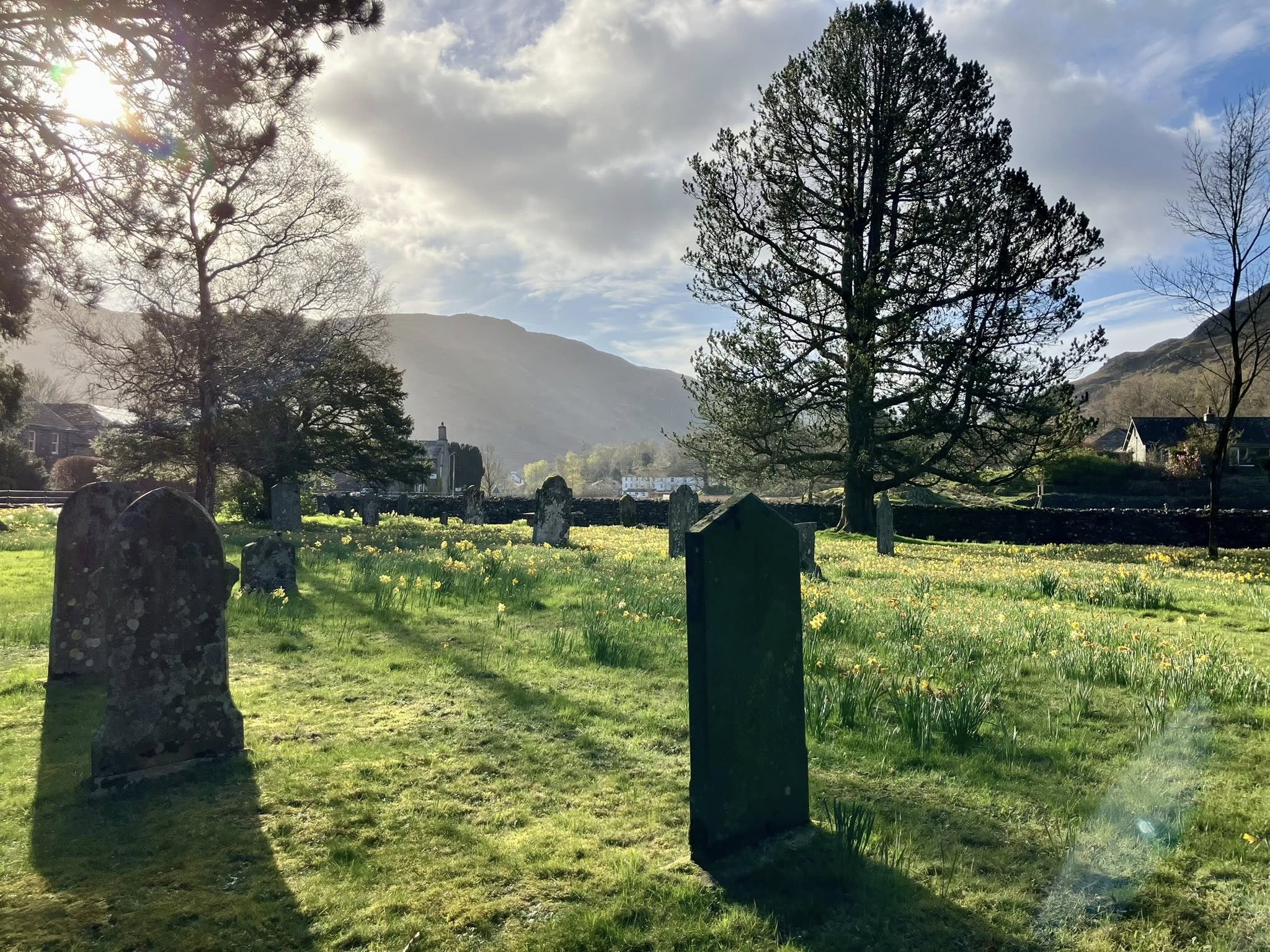 669665721 1396919649129984 891