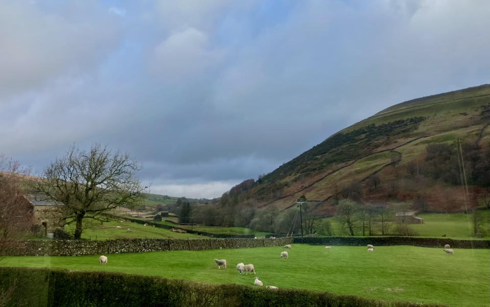 671465517 1398621608959788 783