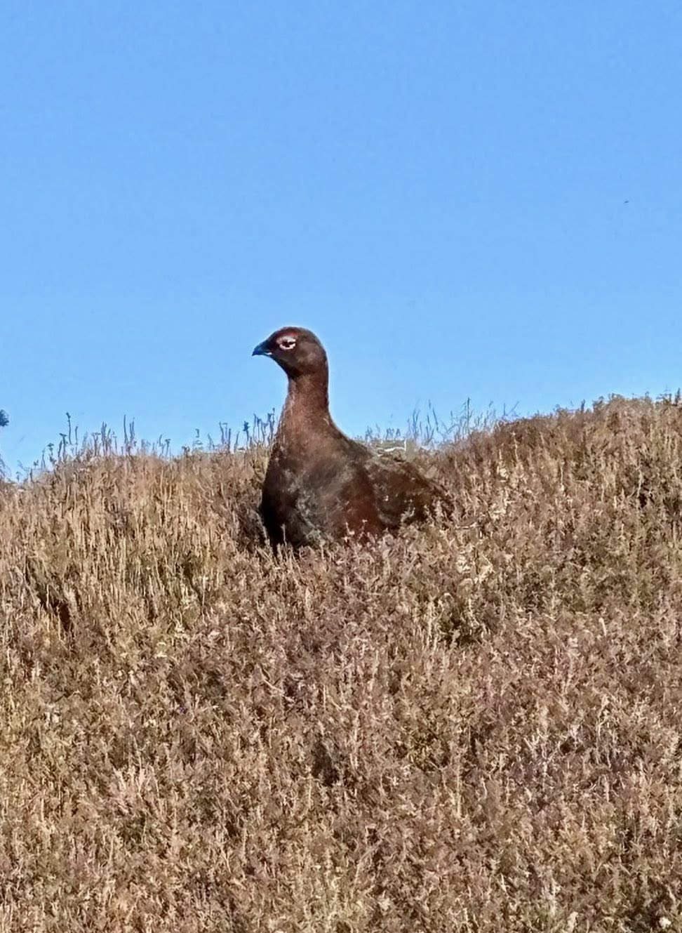 671446889 1399715302183752 386