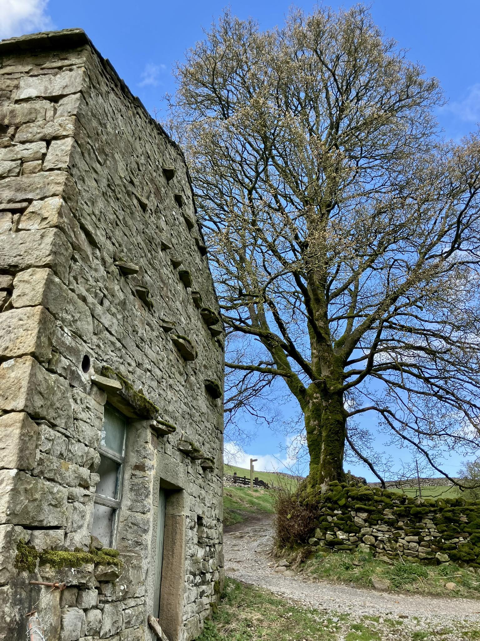 671430047 1400197245468891 714