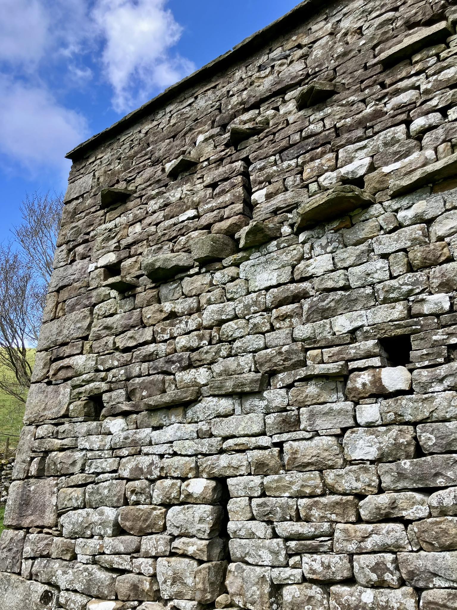 672667782 1400197422135540 855