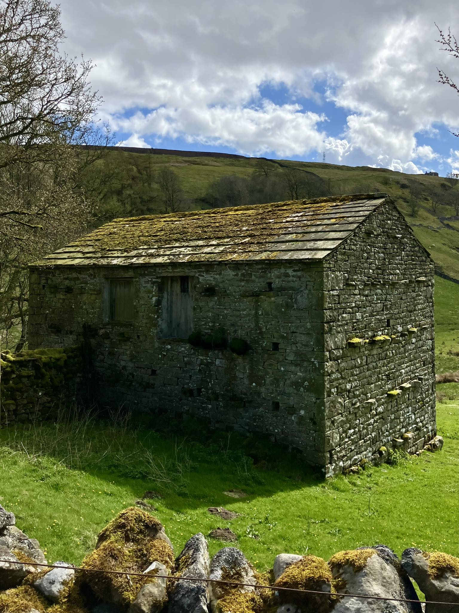 672672594 1400197315468884 918