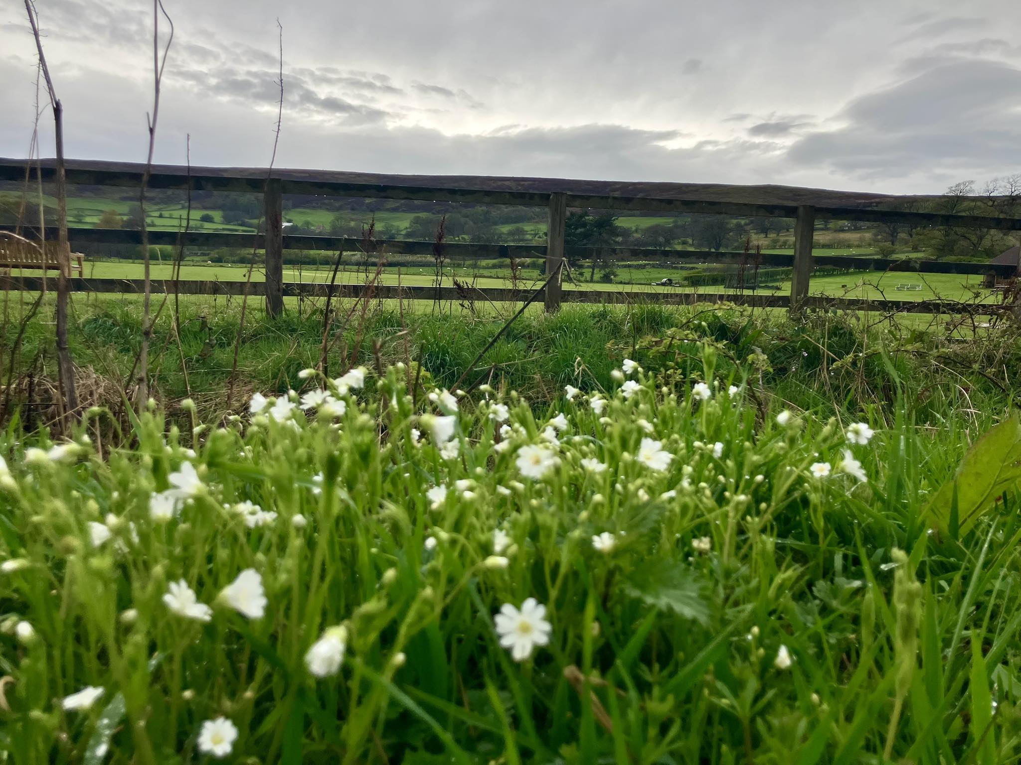 672012740 1401368542018428 704