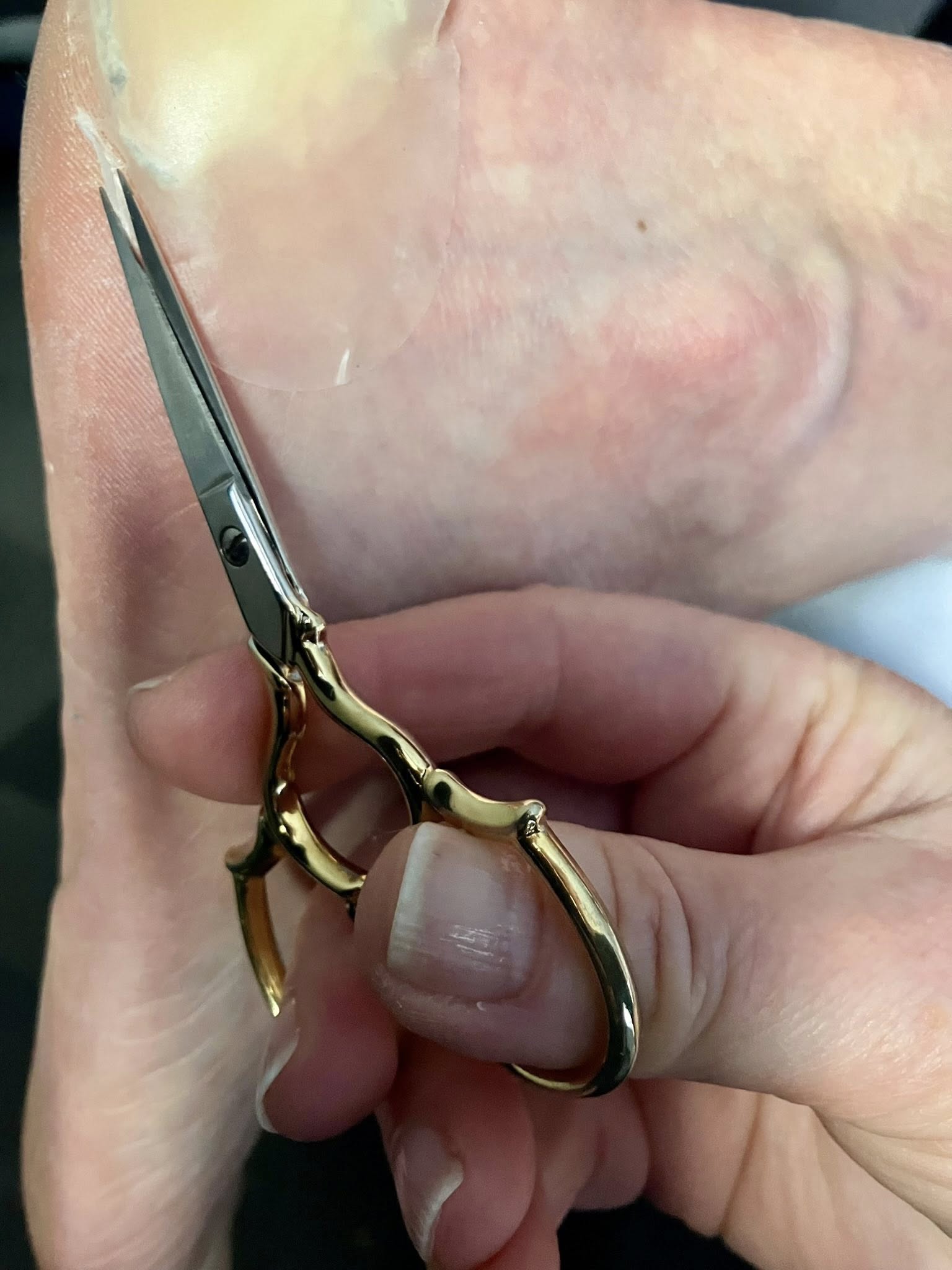 671132311 1401940071961275 557