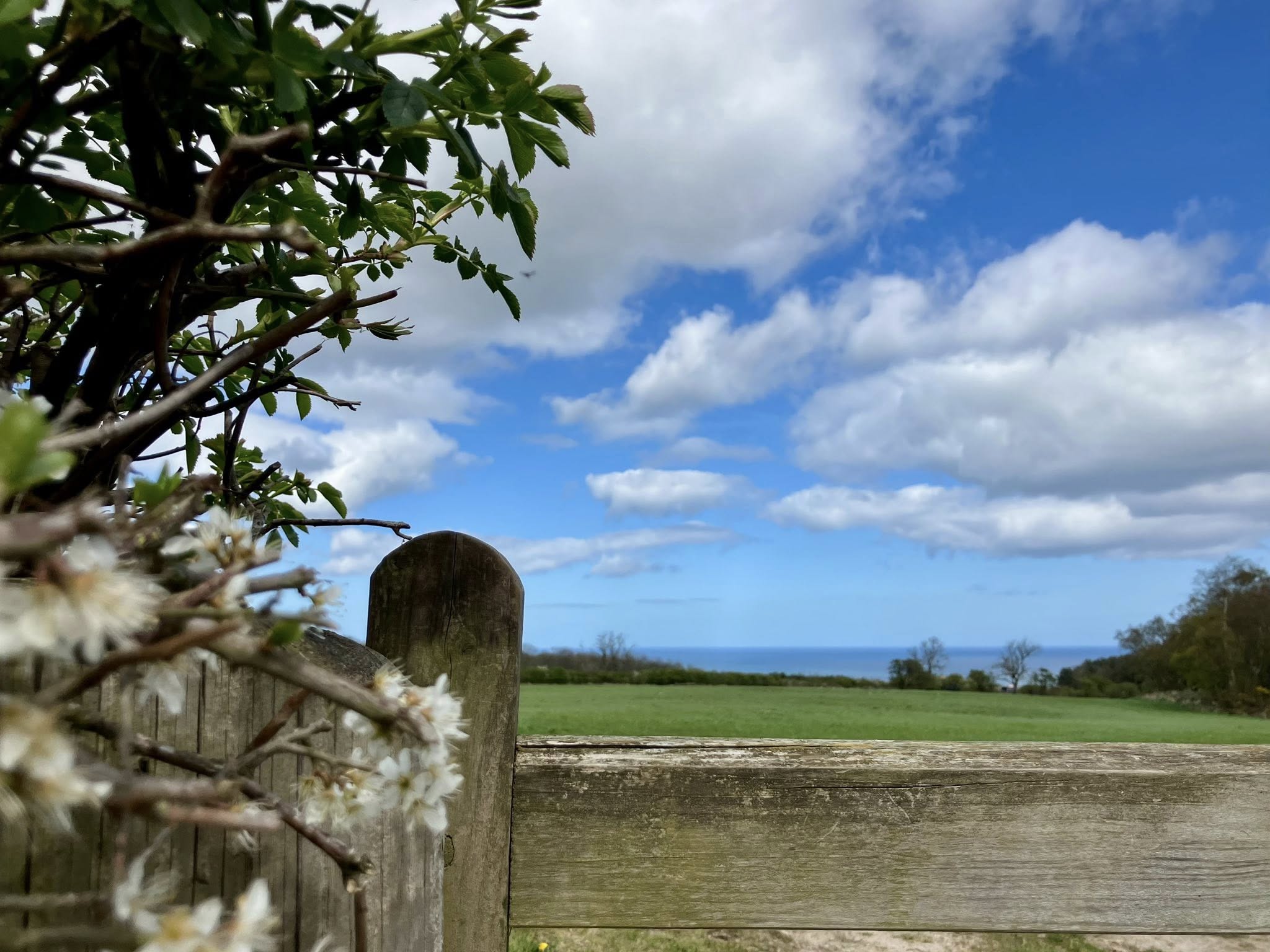 671438478 1402160998605849 797