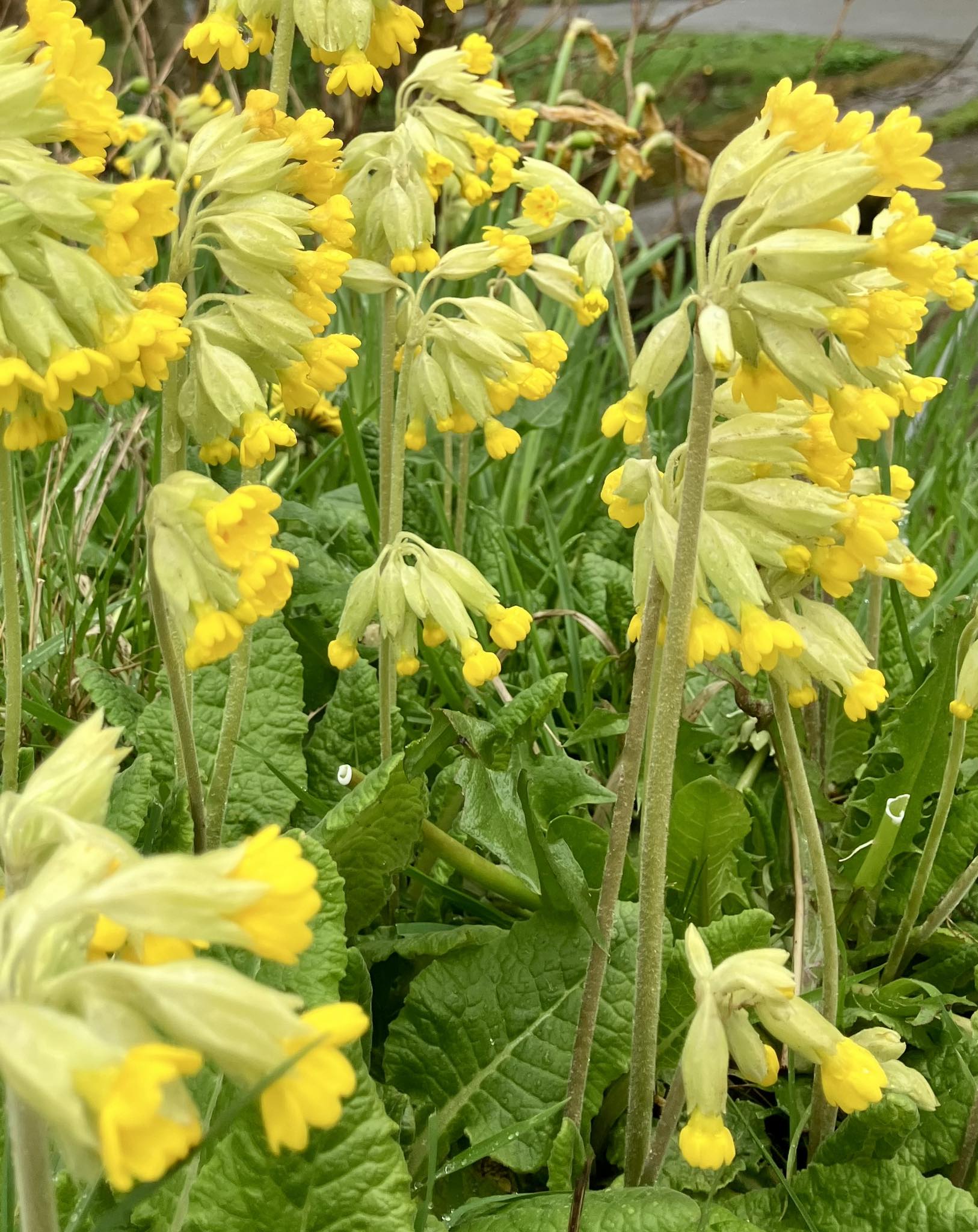 674193995 1402967268525222 671